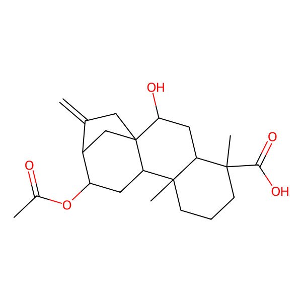 2D Structure of 12-Acetyloxy-2-hydroxy-5,9-dimethyl-14-methylidenetetracyclo[11.2.1.01,10.04,9]hexadecane-5-carboxylic acid