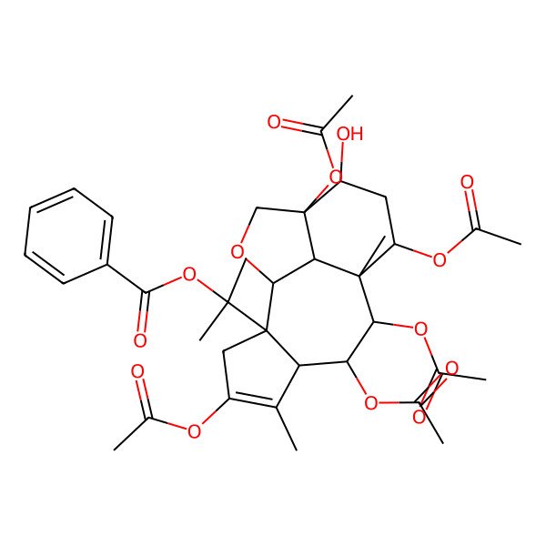 2D Structure of 2-[(1S,2S,7R,8R,9S,10S,12S,13S,16R)-4,7,8,10,13-pentaacetyloxy-12-hydroxy-5,9-dimethyl-15-oxatetracyclo[7.6.1.02,6.013,16]hexadec-4-en-2-yl]propan-2-yl benzoate