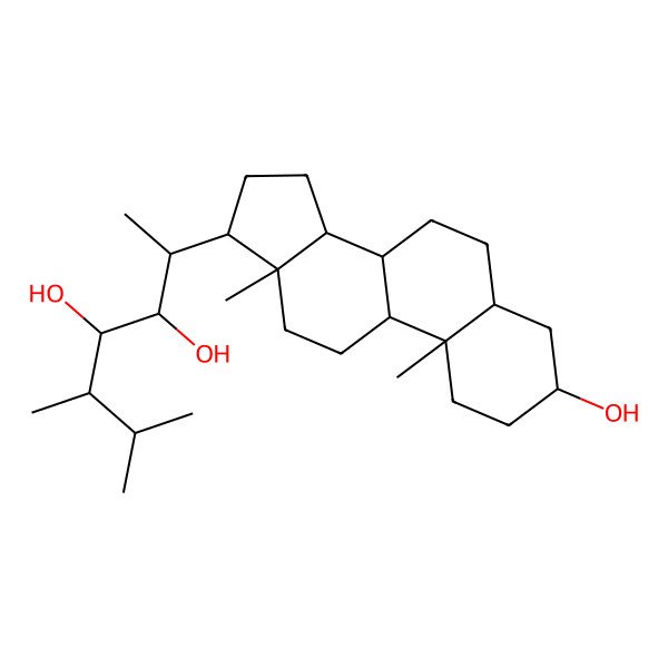 2D Structure of (2R,3R,4R,5S)-2-[(3S,5S,8R,9S,10S,13S,14S,17R)-3-hydroxy-10,13-dimethyl-2,3,4,5,6,7,8,9,11,12,14,15,16,17-tetradecahydro-1H-cyclopenta[a]phenanthren-17-yl]-5,6-dimethylheptane-3,4-diol