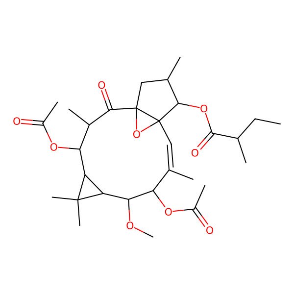 2D Structure of (4,9-Diacetyloxy-8-methoxy-3,6,6,10,14-pentamethyl-2-oxo-16-oxatetracyclo[10.3.1.01,12.05,7]hexadec-10-en-13-yl) 2-methylbutanoate
