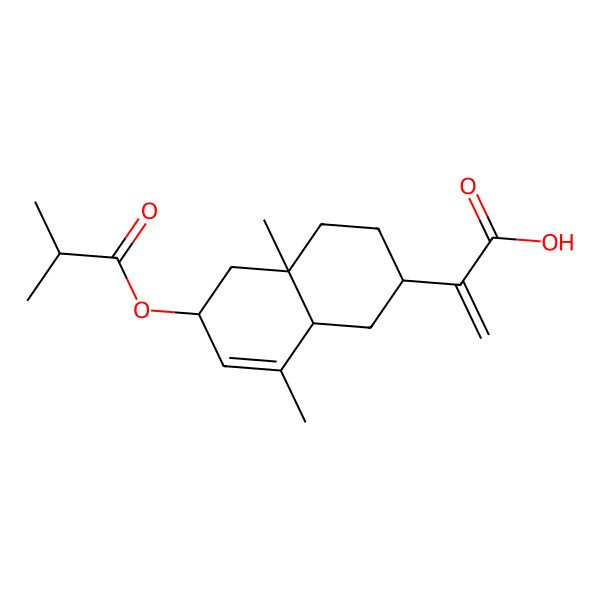 2D Structure of 2-[(2R,4aS,6R,8aR)-4a,8-dimethyl-6-(2-methylpropanoyloxy)-2,3,4,5,6,8a-hexahydro-1H-naphthalen-2-yl]prop-2-enoic acid