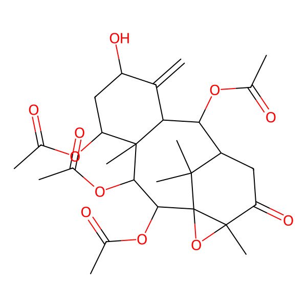 2D Structure of (2,3,10-Triacetyloxy-7-hydroxy-4,14,16,16-tetramethyl-8-methylidene-13-oxo-15-oxatetracyclo[9.4.1.01,14.04,9]hexadecan-5-yl) acetate