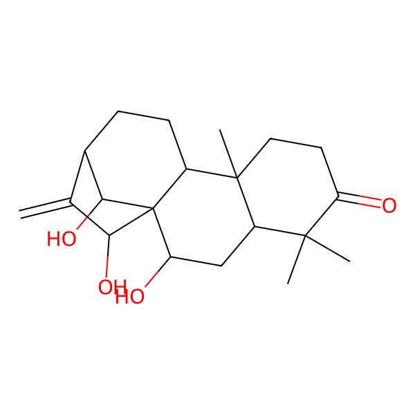 2D Structure of (1R,2R,4S,9S,10S,13S,15S,16R)-2,15,16-trihydroxy-5,5,9-trimethyl-14-methylidenetetracyclo[11.2.1.01,10.04,9]hexadecan-6-one