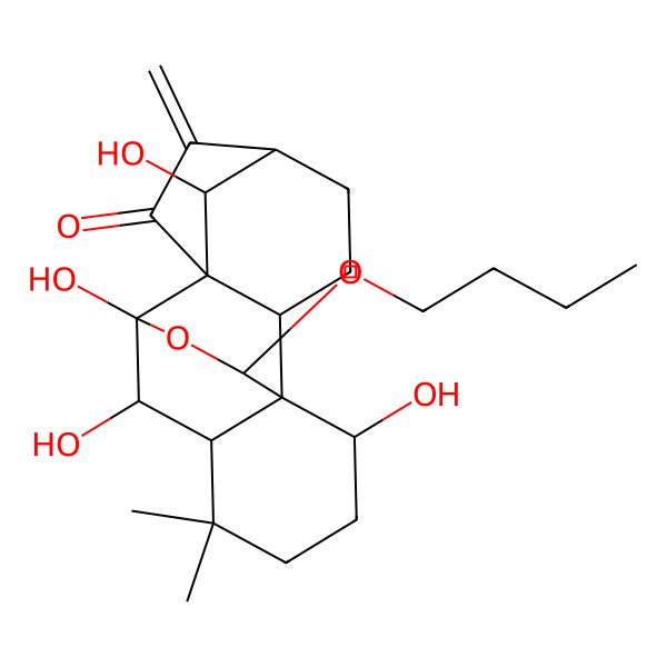 2D Structure of (1R,2S,5S,8R,9R,10S,11R,15S,16S,18R)-16-butoxy-9,10,15,18-tetrahydroxy-12,12-dimethyl-6-methylidene-17-oxapentacyclo[7.6.2.15,8.01,11.02,8]octadecan-7-one