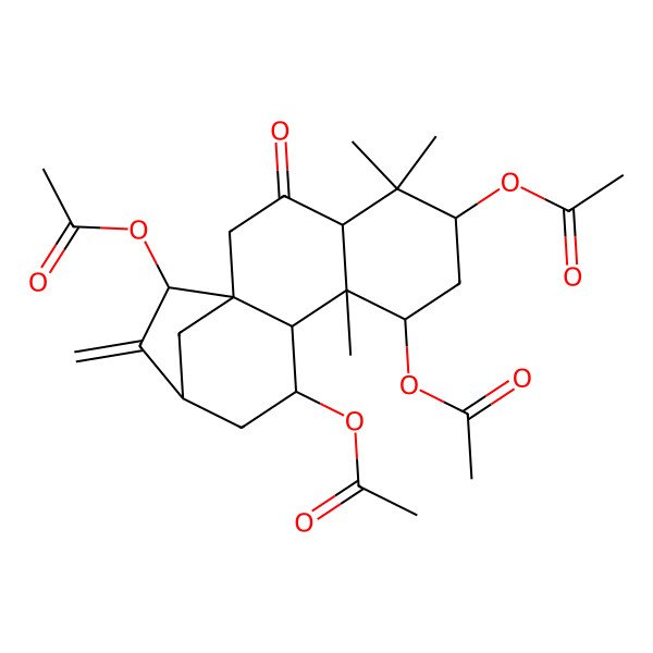 2D Structure of (6,8,15-Triacetyloxy-5,5,9-trimethyl-14-methylidene-3-oxo-11-tetracyclo[11.2.1.01,10.04,9]hexadecanyl) acetate