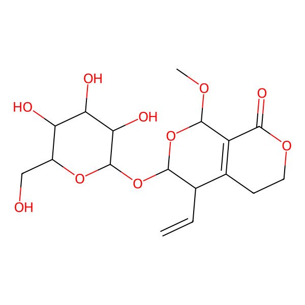2D Structure of 4-ethenyl-1-methoxy-3-[3,4,5-trihydroxy-6-(hydroxymethyl)oxan-2-yl]oxy-3,4,5,6-tetrahydro-1H-pyrano[3,4-c]pyran-8-one