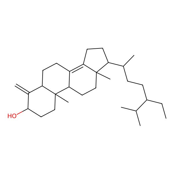2D Structure of (3S,9R,10R,13R,17R)-17-[(2R,5S)-5-ethyl-6-methylheptan-2-yl]-10,13-dimethyl-4-methylidene-1,2,3,5,6,7,9,11,12,15,16,17-dodecahydrocyclopenta[a]phenanthren-3-ol