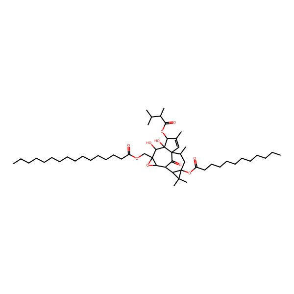 2D Structure of [4-(2,3-Dimethylbutanoyloxy)-13-dodecanoyloxy-5,6-dihydroxy-3,12,12,15-tetramethyl-16-oxo-8-oxapentacyclo[8.5.1.01,5.07,9.011,13]hexadec-2-en-7-yl]methyl hexadecanoate