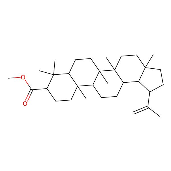 2D Structure of Methyl 3a,5a,5b,8,8,11a-hexamethyl-1-prop-1-en-2-yl-1,2,3,4,5,6,7,7a,9,10,11,11b,12,13,13a,13b-hexadecahydrocyclopenta[a]chrysene-9-carboxylate