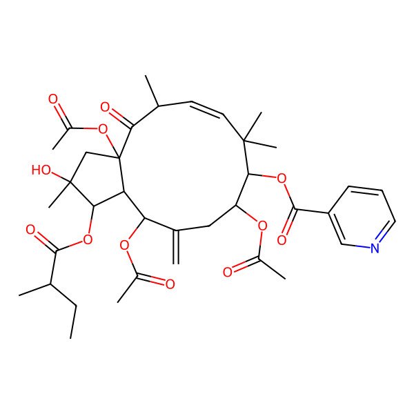 2D Structure of [(1R,2R,3aR,5S,6E,9S,10R,13R,13aS)-3a,10,13-triacetyloxy-2-hydroxy-2,5,8,8-tetramethyl-1-[(2R)-2-methylbutanoyl]oxy-12-methylidene-4-oxo-1,3,5,9,10,11,13,13a-octahydrocyclopenta[12]annulen-9-yl] pyridine-3-carboxylate