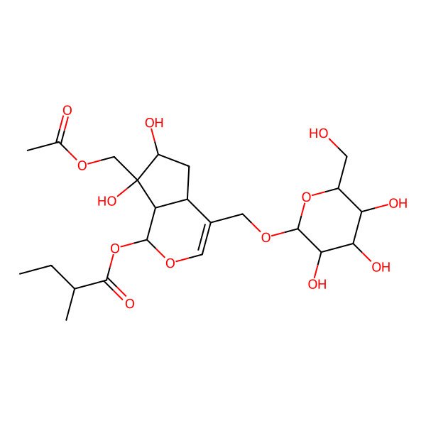 2D Structure of [(1S,4aS,6S,7R,7aS)-7-(acetyloxymethyl)-6,7-dihydroxy-4-[[(2R,3R,4S,5S,6R)-3,4,5-trihydroxy-6-(hydroxymethyl)oxan-2-yl]oxymethyl]-4a,5,6,7a-tetrahydro-1H-cyclopenta[c]pyran-1-yl] (2R)-2-methylbutanoate