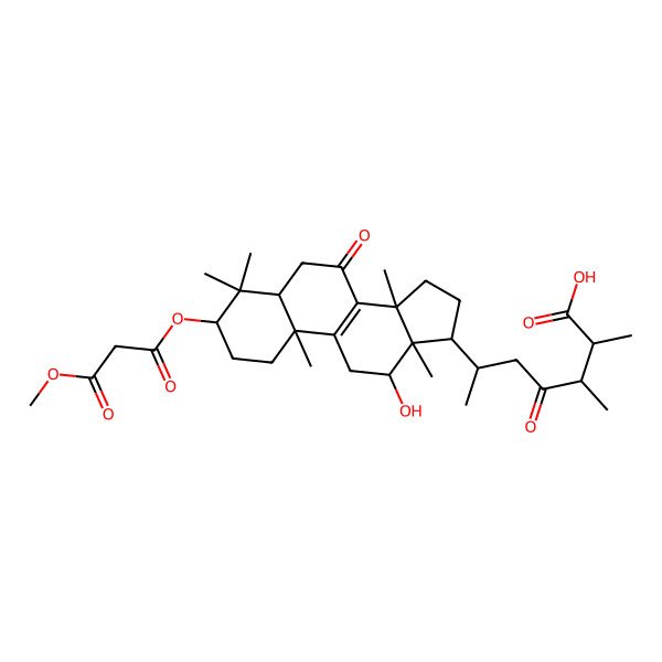 2D Structure of 6-[12-Hydroxy-3-(3-methoxy-3-oxopropanoyl)oxy-4,4,10,13,14-pentamethyl-7-oxo-1,2,3,5,6,11,12,15,16,17-decahydrocyclopenta[a]phenanthren-17-yl]-2,3-dimethyl-4-oxoheptanoic acid