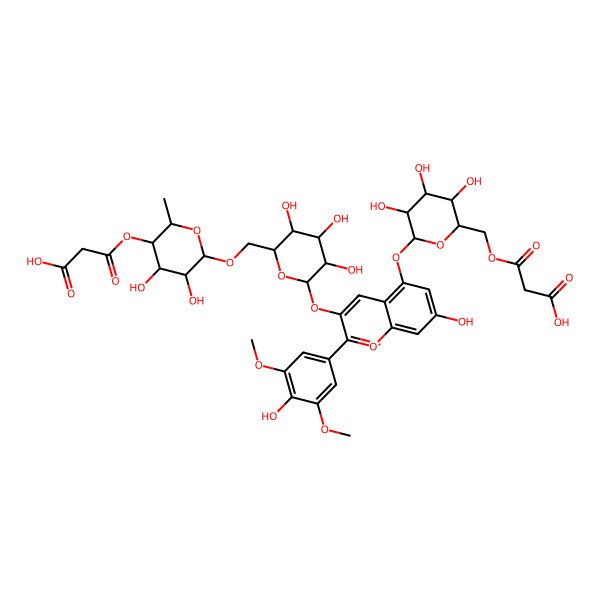2D Structure of 3-[[(2R,3S,4S,5R,6S)-6-[3-[(2S,3R,4S,5S,6R)-6-[[(2R,3S,4R,5R,6S)-5-(2-carboxyacetyl)oxy-3,4-dihydroxy-6-methyloxan-2-yl]oxymethyl]-3,4,5-trihydroxyoxan-2-yl]oxy-7-hydroxy-2-(4-hydroxy-3,5-dimethoxyphenyl)chromenylium-5-yl]oxy-3,4,5-trihydroxyoxan-2-yl]methoxy]-3-oxopropanoic acid