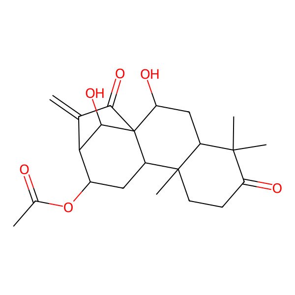 2D Structure of [(1R,2R,4S,9R,10S,12S,13S,16R)-2,16-dihydroxy-5,5,9-trimethyl-14-methylidene-6,15-dioxo-12-tetracyclo[11.2.1.01,10.04,9]hexadecanyl] acetate