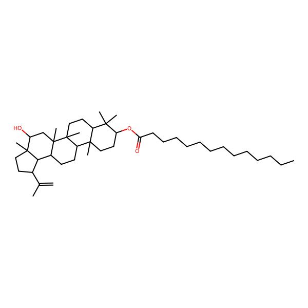 2D Structure of (4-Hydroxy-3a,5a,5b,8,8,11a-hexamethyl-1-prop-1-en-2-yl-1,2,3,4,5,6,7,7a,9,10,11,11b,12,13,13a,13b-hexadecahydrocyclopenta[a]chrysen-9-yl) tetradecanoate
