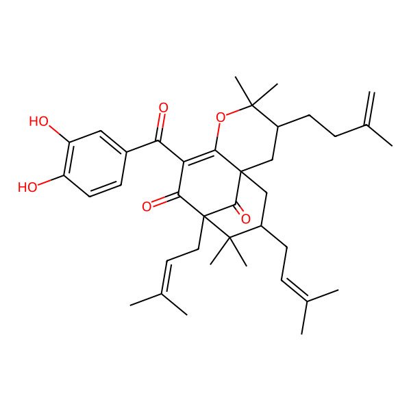 2D Structure of (1R,3S,9R,11S)-7-(3,4-dihydroxybenzoyl)-4,4,10,10-tetramethyl-9,11-bis(3-methylbut-2-enyl)-3-(3-methylbut-3-enyl)-5-oxatricyclo[7.3.1.01,6]tridec-6-ene-8,13-dione