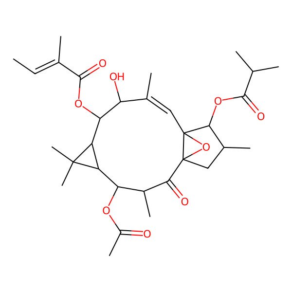 2D Structure of [4-Acetyloxy-9-hydroxy-3,6,6,10,14-pentamethyl-13-(2-methylpropanoyloxy)-2-oxo-16-oxatetracyclo[10.3.1.01,12.05,7]hexadec-10-en-8-yl] 2-methylbut-2-enoate