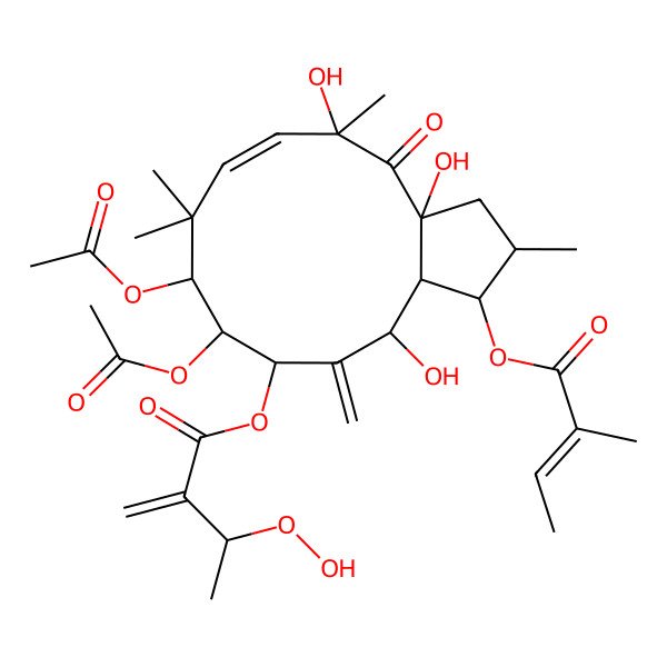 2D Structure of [(1S,2S,3aR,5R,6E,9S,10S,11S,13R,13aS)-9,10-diacetyloxy-3a,5,13-trihydroxy-2,5,8,8-tetramethyl-1-[(Z)-2-methylbut-2-enoyl]oxy-12-methylidene-4-oxo-1,2,3,9,10,11,13,13a-octahydrocyclopenta[12]annulen-11-yl] (3S)-3-hydroperoxy-2-methylidenebutanoate