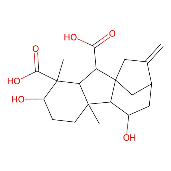 2D Structure of (1R,2S,3S,4S,5S,8R,9S,10R,12S)-5,10-dihydroxy-4,8-dimethyl-13-methylidenetetracyclo[10.2.1.01,9.03,8]pentadecane-2,4-dicarboxylic acid