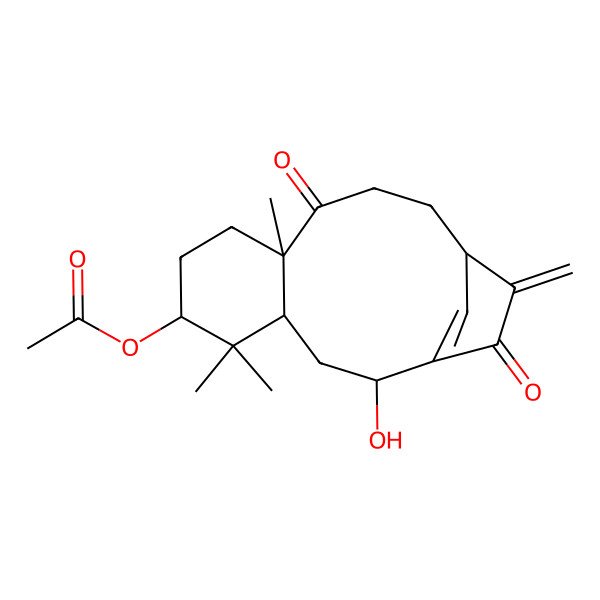 2D Structure of [(2R,4R,6S,9R,13R)-2-hydroxy-5,5,9-trimethyl-14-methylidene-10,15-dioxo-6-tricyclo[11.2.1.04,9]hexadec-1(16)-enyl] acetate