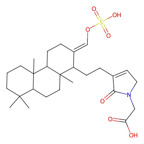 2D Structure of 2-[4-[2-[(1R,2E,4aR,4bS,8aS,10aS)-4b,8,8,10a-tetramethyl-2-(sulfooxymethylidene)-1,3,4,4a,5,6,7,8a,9,10-decahydrophenanthren-1-yl]ethyl]-5-oxo-2H-pyrrol-1-yl]acetic acid
