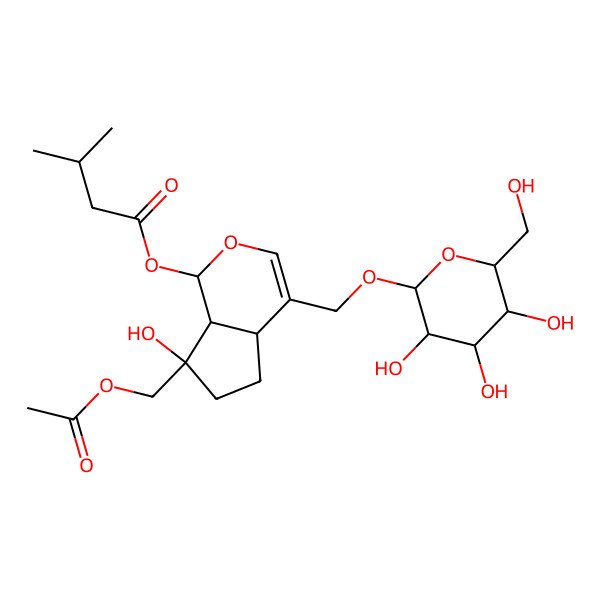 2D Structure of [(1R,4aS,7R,7aS)-7-(acetyloxymethyl)-7-hydroxy-4-[[(2R,3R,4S,5S,6R)-3,4,5-trihydroxy-6-(hydroxymethyl)oxan-2-yl]oxymethyl]-4a,5,6,7a-tetrahydro-1H-cyclopenta[c]pyran-1-yl] 3-methylbutanoate