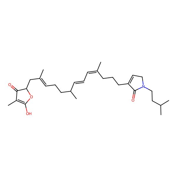 2D Structure of 4-[(4E,6E,8S,11Z)-13-[(2S)-5-hydroxy-4-methyl-3-oxofuran-2-yl]-4,8,12-trimethyltrideca-4,6,11-trienyl]-1-(3-methylbutyl)-2H-pyrrol-5-one