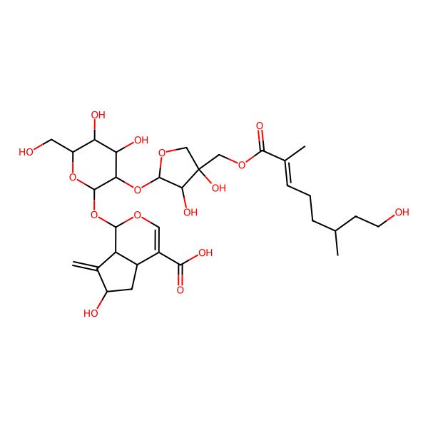 2D Structure of (1S,4aS,6S,7aS)-1-[(2S,3R,4S,5S,6R)-3-[(2S,3R,4S)-3,4-dihydroxy-4-[[(E)-8-hydroxy-2,6-dimethyloct-2-enoyl]oxymethyl]oxolan-2-yl]oxy-4,5-dihydroxy-6-(hydroxymethyl)oxan-2-yl]oxy-6-hydroxy-7-methylidene-4a,5,6,7a-tetrahydro-1H-cyclopenta[c]pyran-4-carboxylic acid
