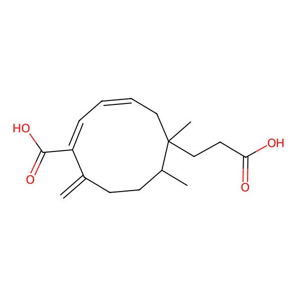 2D Structure of (1E,3Z,6R,7R)-6-(2-carboxyethyl)-6,7-dimethyl-10-methylidenecyclodeca-1,3-diene-1-carboxylic acid