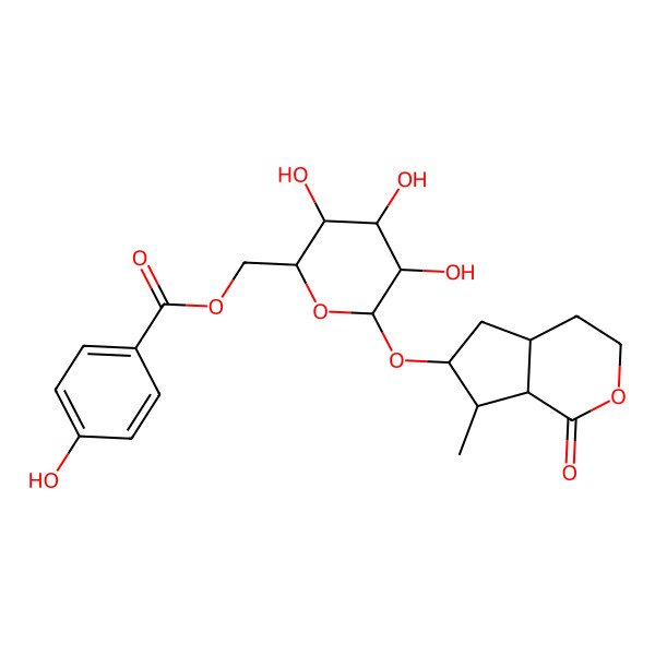 2D Structure of [(2R,3S,4S,5R,6R)-6-[[(4aS,6S,7S,7aS)-7-methyl-1-oxo-4,4a,5,6,7,7a-hexahydro-3H-cyclopenta[c]pyran-6-yl]oxy]-3,4,5-trihydroxyoxan-2-yl]methyl 4-hydroxybenzoate