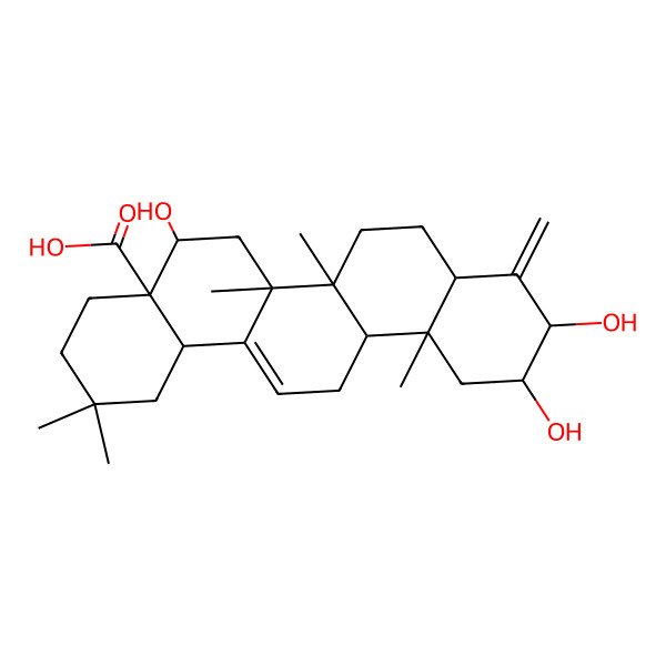2D Structure of 5,10,11-Trihydroxy-2,2,6a,6b,12a-pentamethyl-9-methylidene-1,3,4,5,6,6a,7,8,8a,10,11,12,13,14b-tetradecahydropicene-4a-carboxylic acid