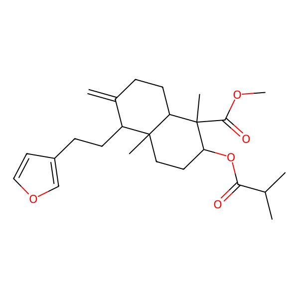 2D Structure of methyl (1R,2R,4aS,5R,8aS)-5-[2-(furan-3-yl)ethyl]-1,4a-dimethyl-6-methylidene-2-(2-methylpropanoyloxy)-3,4,5,7,8,8a-hexahydro-2H-naphthalene-1-carboxylate