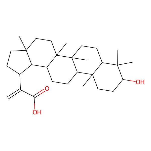 2D Structure of 2-[(1R,3aR,5aR,5bR,7aR,9S,11aR,11bR,13aR,13bS)-9-hydroxy-3a,5a,5b,8,8,11a-hexamethyl-1,2,3,4,5,6,7,7a,9,10,11,11b,12,13,13a,13b-hexadecahydrocyclopenta[a]chrysen-1-yl]prop-2-enoic acid