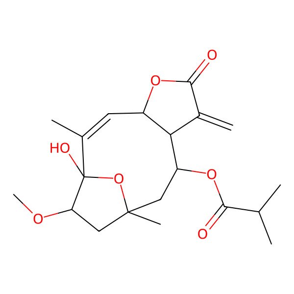 2D Structure of (1-Hydroxy-13-methoxy-2,11-dimethyl-7-methylidene-6-oxo-5,14-dioxatricyclo[9.2.1.04,8]tetradec-2-en-9-yl) 2-methylpropanoate