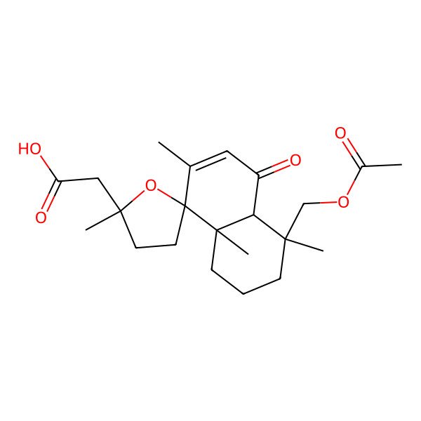 2D Structure of 2-[(2'S,4R,4aS,8R,8aS)-4-(acetyloxymethyl)-2',4,7,8a-tetramethyl-5-oxospiro[1,2,3,4a-tetrahydronaphthalene-8,5'-oxolane]-2'-yl]acetic acid