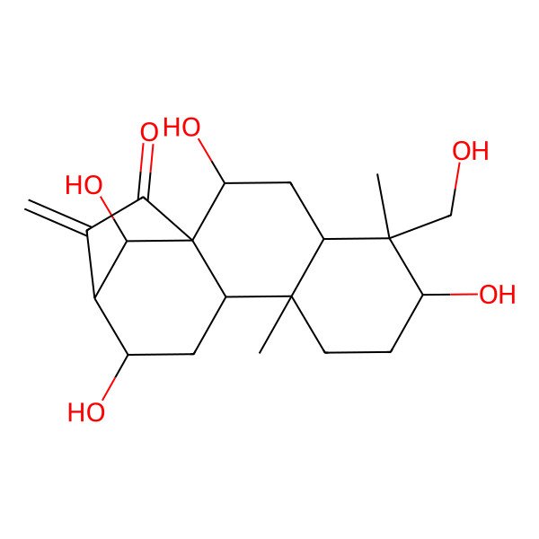 2D Structure of (1R,2R,4S,5S,6R,9R,10S,12S,13R,16R)-2,6,12,16-tetrahydroxy-5-(hydroxymethyl)-5,9-dimethyl-14-methylidenetetracyclo[11.2.1.01,10.04,9]hexadecan-15-one