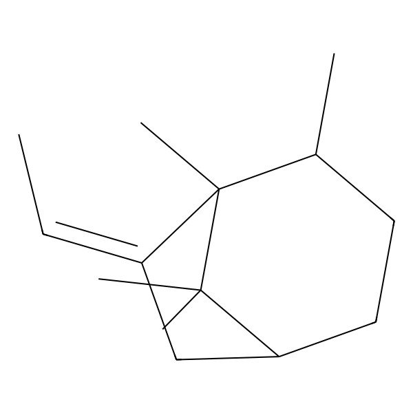 2D Structure of (1R,2R,5R,7Z)-7-ethylidene-1,2,8,8-tetramethylbicyclo[3.2.1]octane