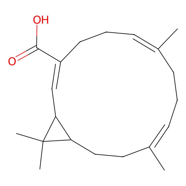 2D Structure of (1R,2Z,6E,10E,14R)-7,11,15,15-tetramethylbicyclo[12.1.0]pentadeca-2,6,10-triene-3-carboxylic acid