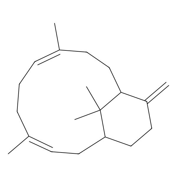2D Structure of (1R,3E,7E,11S)-4,8,15,15-tetramethyl-12-methylidenebicyclo[9.3.1]pentadeca-3,7-diene