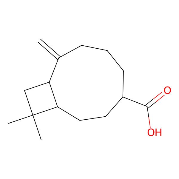 2D Structure of (1R,4R,9R)-11,11-dimethyl-8-methylidenebicyclo[7.2.0]undecane-4-carboxylic acid