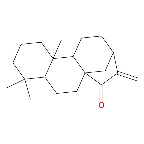 2D Structure of (1R,4R,9R,10S,13R)-5,5,9-trimethyl-14-methylidenetetracyclo[11.2.1.01,10.04,9]hexadecan-15-one