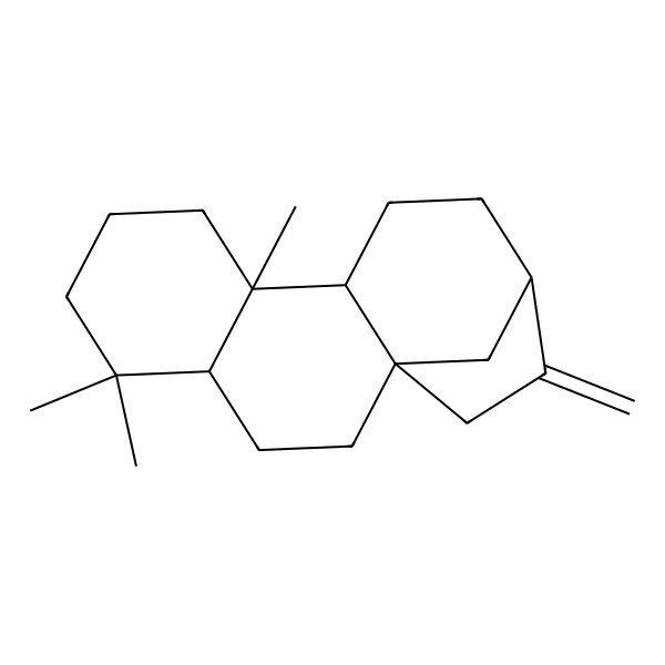 2D Structure of (1R,4S,9S,10R,13S)-5,5,9-trimethyl-14-methylidenetetracyclo[11.2.1.01,10.04,9]hexadecane