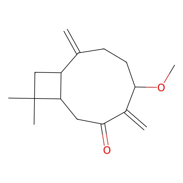 2D Structure of (1R,5R,9R)-5-methoxy-11,11-dimethyl-4,8-dimethylidenebicyclo[7.2.0]undecan-3-one