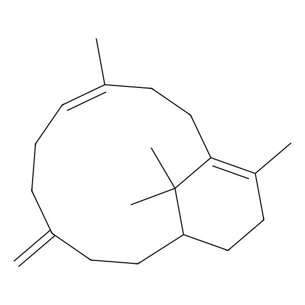 2D Structure of (1R,7E,11Z)-(-)-verticilla-4(20),7,11-triene
