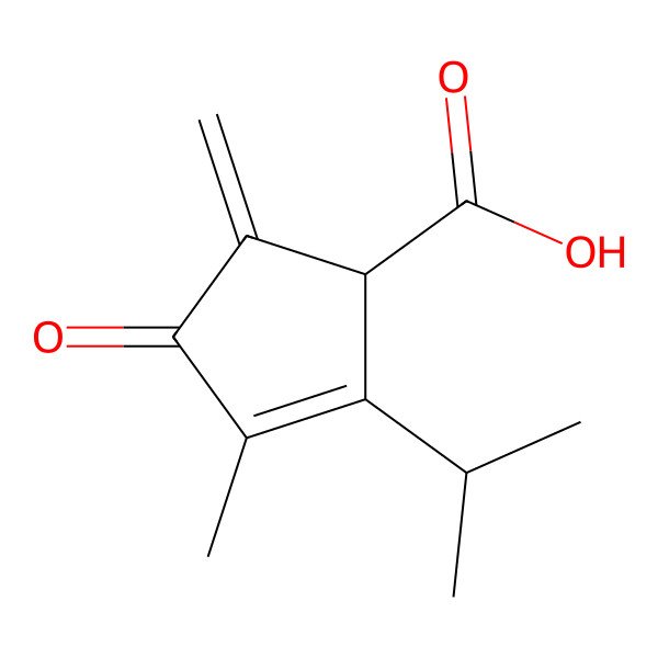 2D Structure of (1S)-3-methyl-5-methylidene-4-oxo-2-propan-2-ylcyclopent-2-ene-1-carboxylic acid