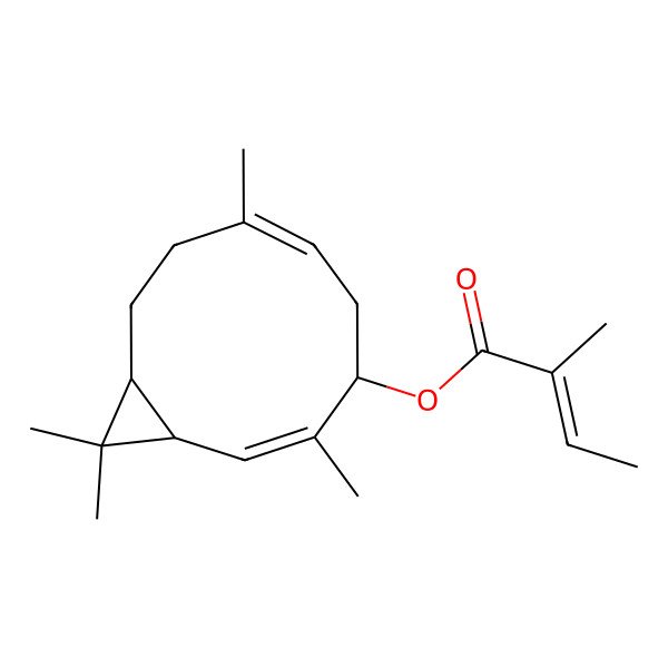 2D Structure of [(1S,2E,4S,6E,10R)-3,7,11,11-tetramethyl-4-bicyclo[8.1.0]undeca-2,6-dienyl] (Z)-2-methylbut-2-enoate