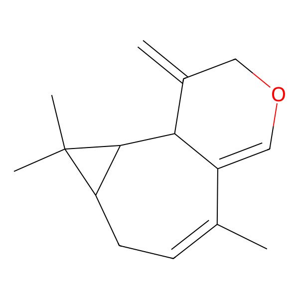 2D Structure of (1S,2S,4S)-3,3,7-trimethyl-12-methylidene-10-oxatricyclo[6.4.0.02,4]dodeca-6,8-diene