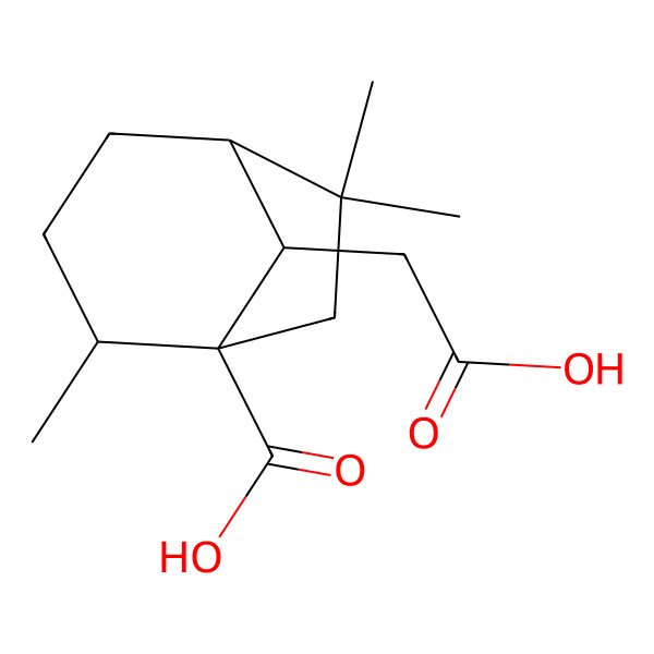 2D Structure of (1S,2S,5S,8S)-8-(carboxymethyl)-2,6,6-trimethylbicyclo[3.2.1]octane-1-carboxylic acid