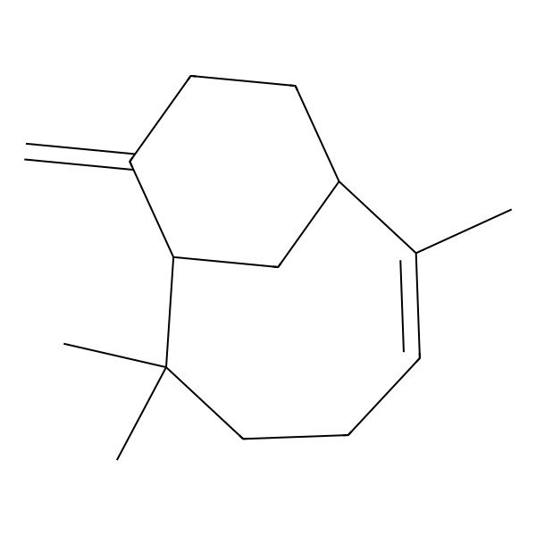 2D Structure of (1S,2Z,7R)-2,6,6-trimethyl-8-methylidenebicyclo[5.3.1]undec-2-ene