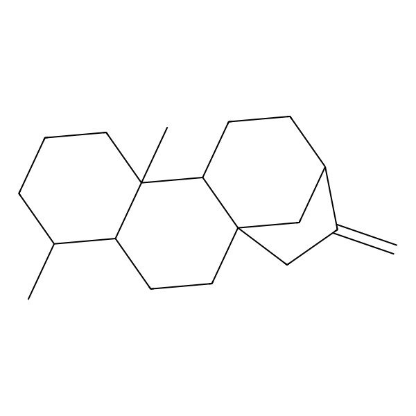 2D Structure of (1S,4R,5R,9R,10R,13R)-5,9-dimethyl-14-methylidenetetracyclo[11.2.1.01,10.04,9]hexadecane